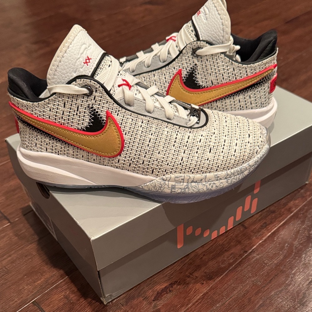 LeBron XX GS “The Debut”